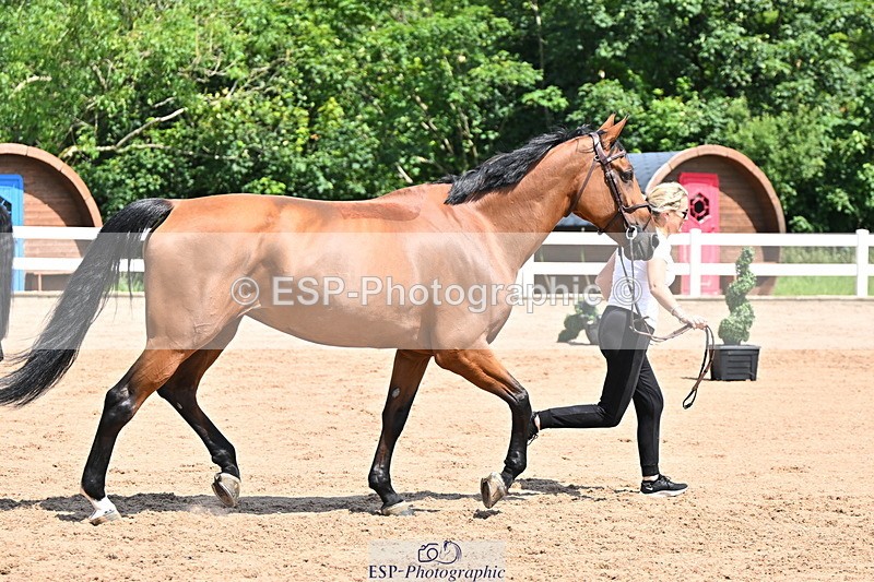 240718A-105245-01116 - Trot Up 12pm to 1pm
