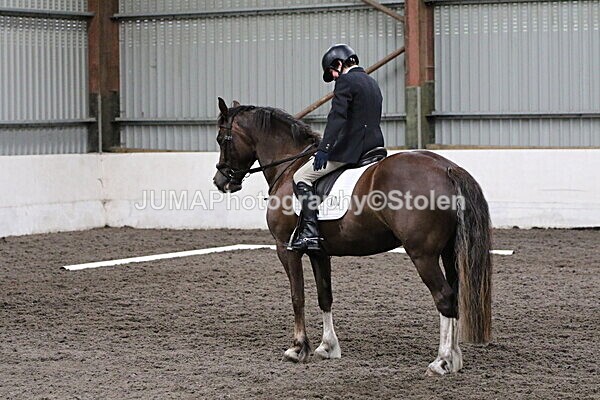 SIAL4684 - CAbin Dressage 5th july 2025