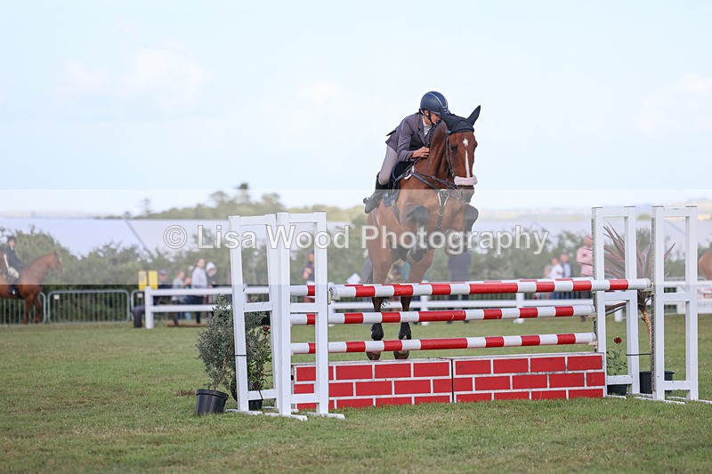 3E7A4717 - Class C1: Showjumping Senior Newcomers/1.10m open