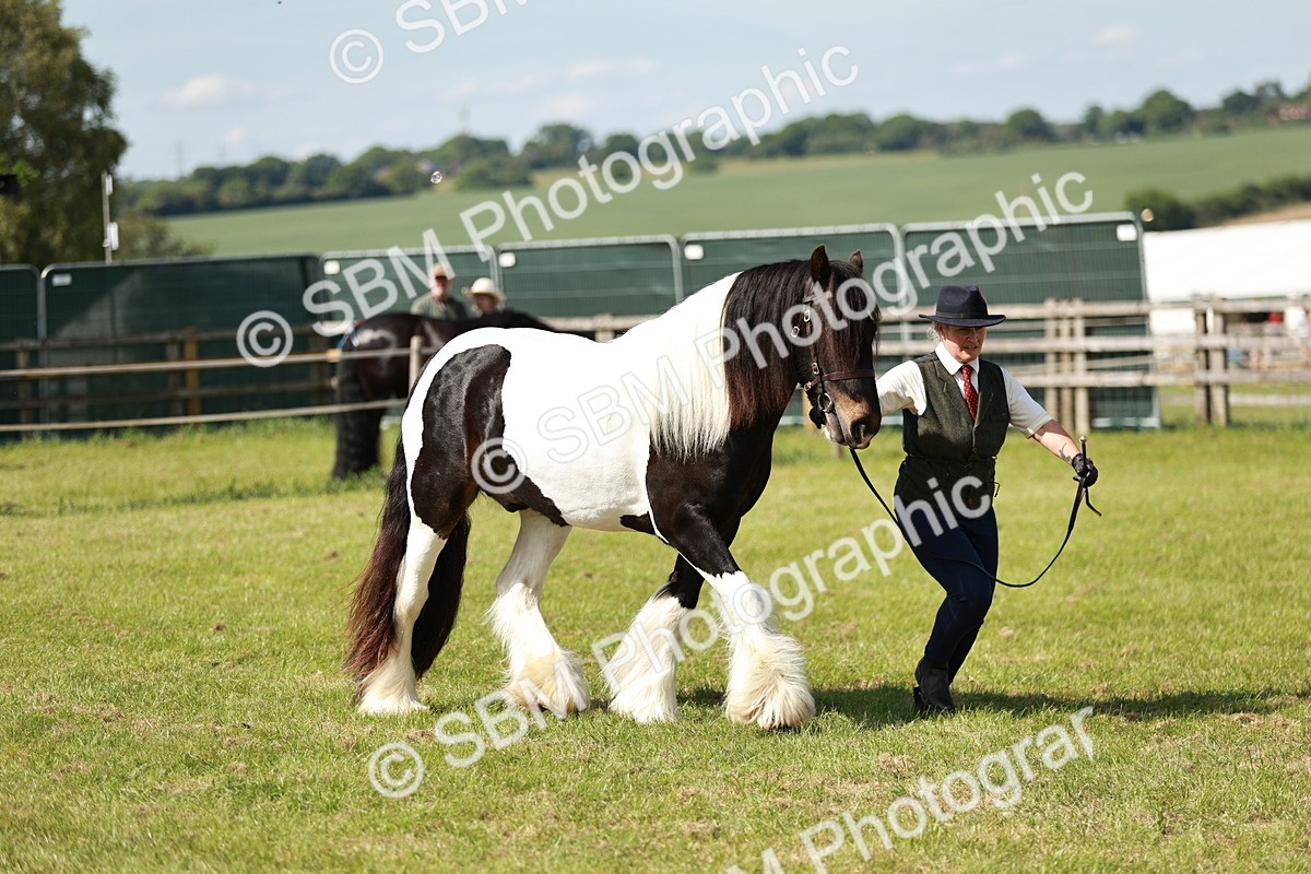 SBM_08810 - Class 63-65 - Traditional Gypsy Cobs In Hand & Ridden