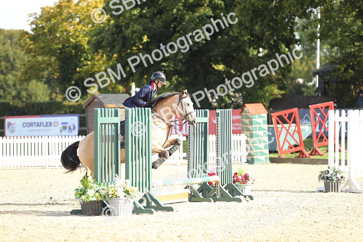 SBM_37350 - J20 - Junior Horse 50cm Championship