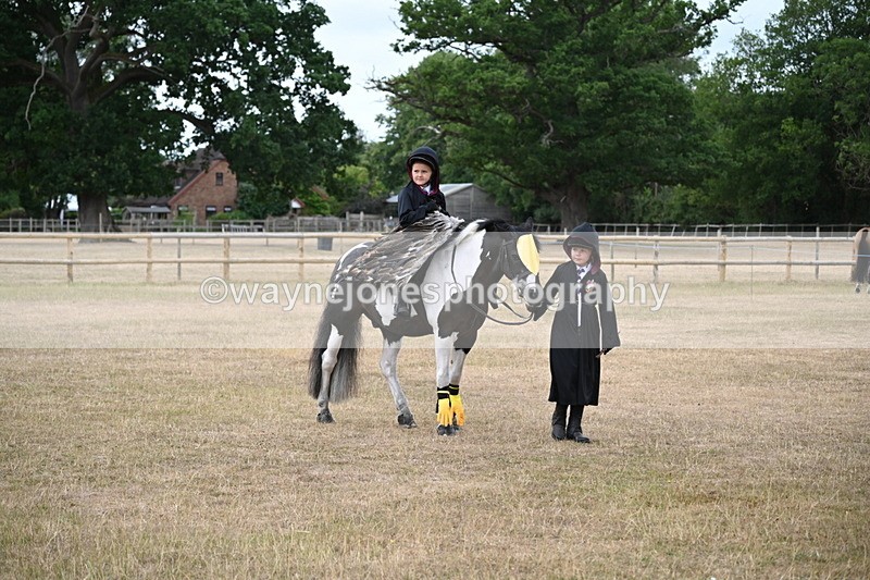 WJ6_8738 - Class 11 Fancy Dress