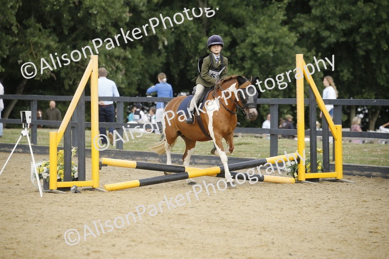 20250622-1281 - 40cm