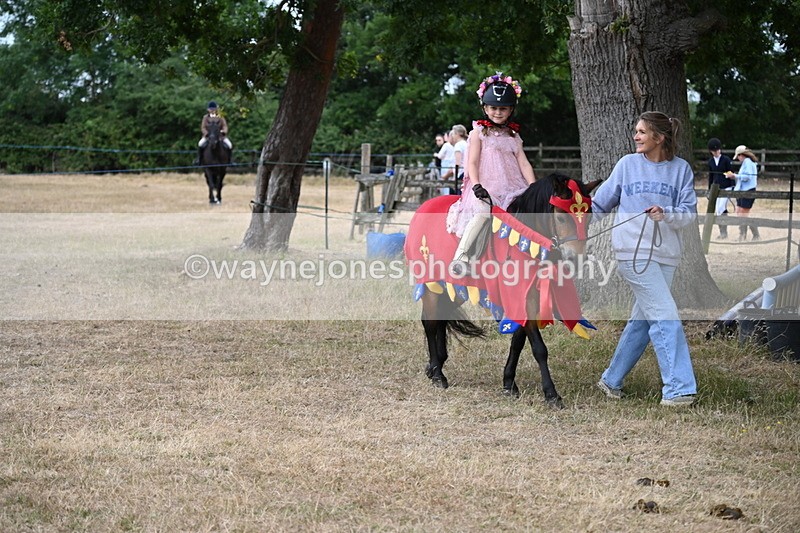 WJ6_8947 - Class 11 Fancy Dress