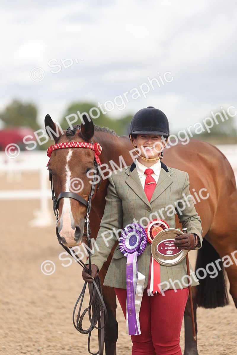 SBM_04494 - Class 18 - Handsomest Gelding (IH or Ridden)