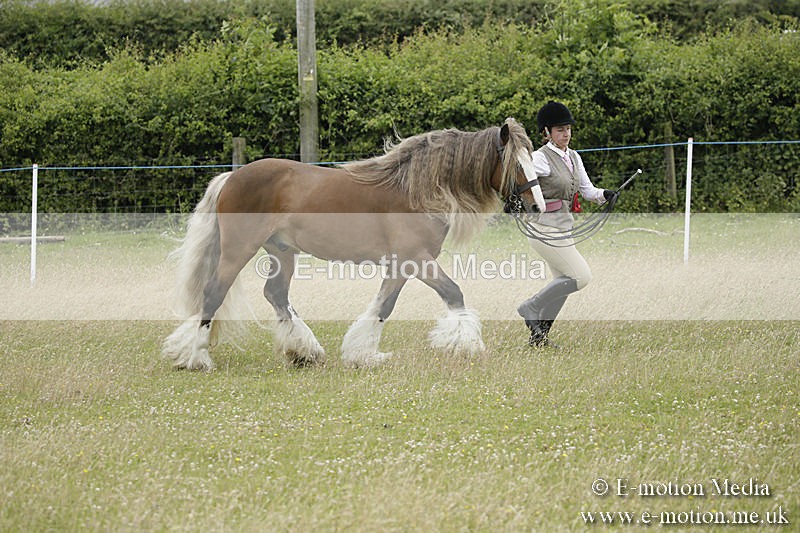 B230619-0840 - Bourne Valley Riding Club Summer Show 23/06/19