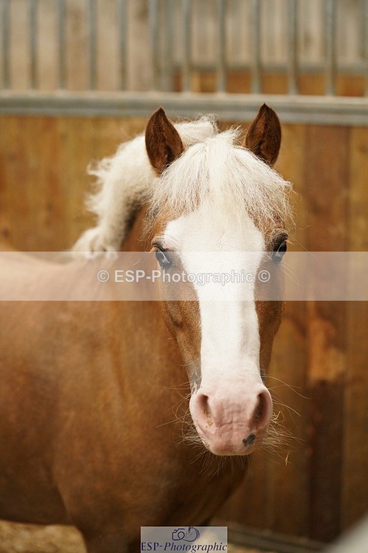 240809A-134438-00997 - Stable Shots