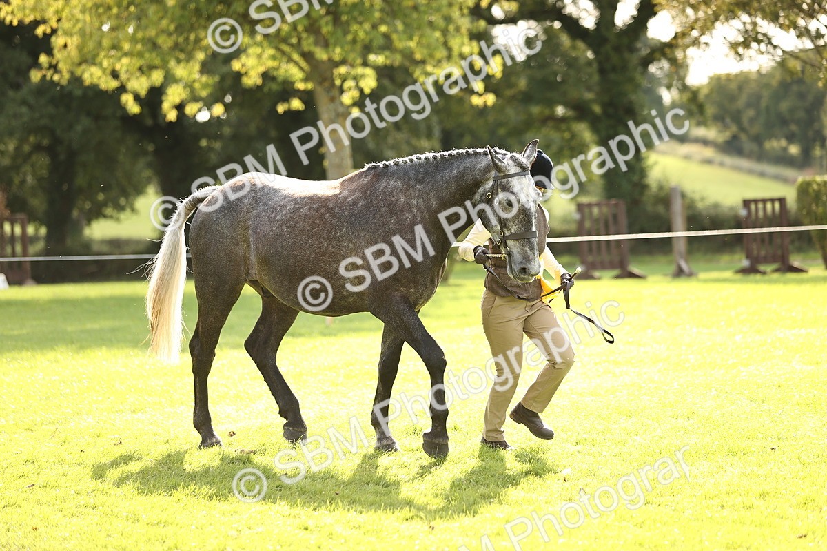 SBM_26317 - S5 - Novice & Newcomers In Hand
