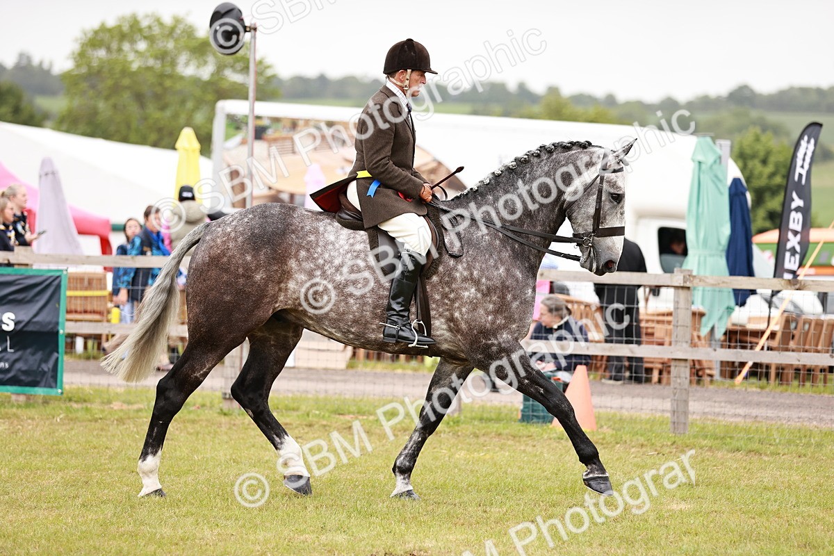 SBM_10956 - Class 81-84 - RIHS Ridden hunters Inc Ladies Hunter