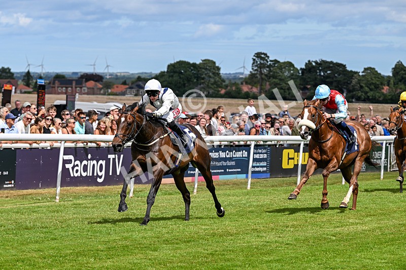 040726-Race 1-Palm Reader-3013 - Race 1 14.17pm Rob Over The Hill EBF Maiden Stakes