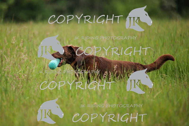 2R6A7856 - 9 Antony
