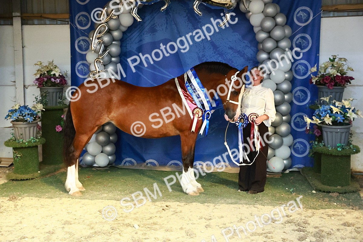 SBM_17986 - M&M Supreme Final Champ