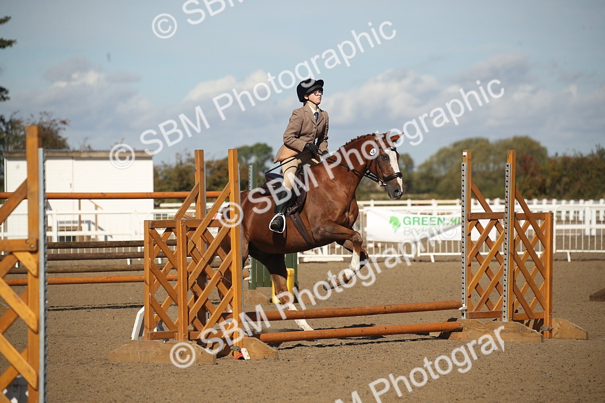 SBM_12717 - Class 504b - Junior Working Veteran - 40cm (20+)