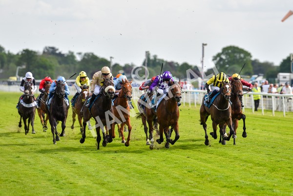 170523-Race 5-Dark Thirty-8870 - Race 5 4.10pm Conundrum HR Consulting Handicap