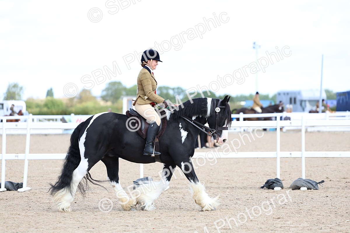 SBM_11483 - Class 307 - Ridden Coloured Pony