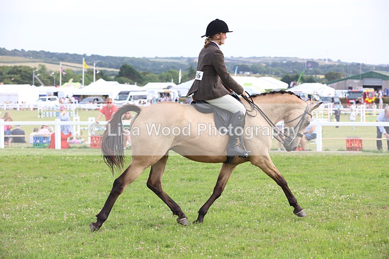 JPP_4498 - Class 26: Working Hunter 1m