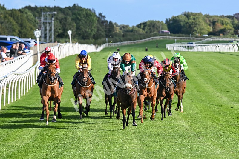 080926-Race 7-Military Girl-3305 - Race 7 5.21pm RMG Proudly Supports Teenage Cancer Trust Handicap