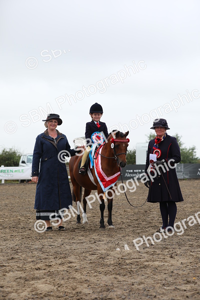 SBM_21861 - Class 806 - Young ridder 10 Yr & Under