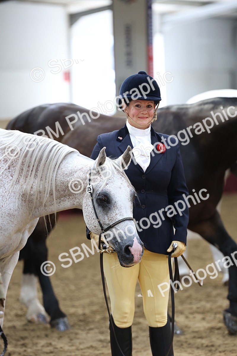 SBM_23366 - Class 903 - Supreme Final - IH Pre Vet