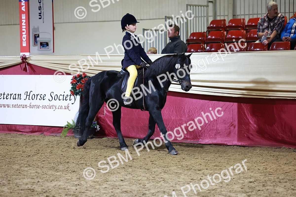 SBM_21335 - Class T - Working Veteran Champs