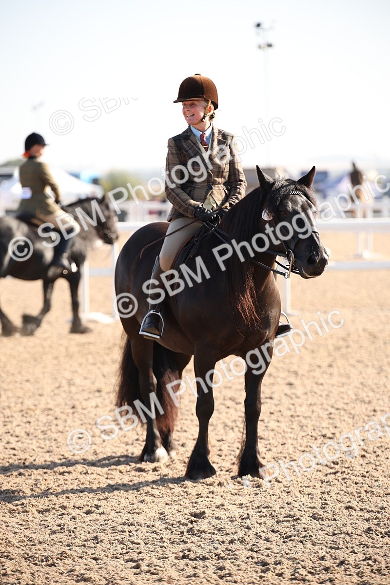 SBM_00664 - Class 14 Ridden M&M Wildcard