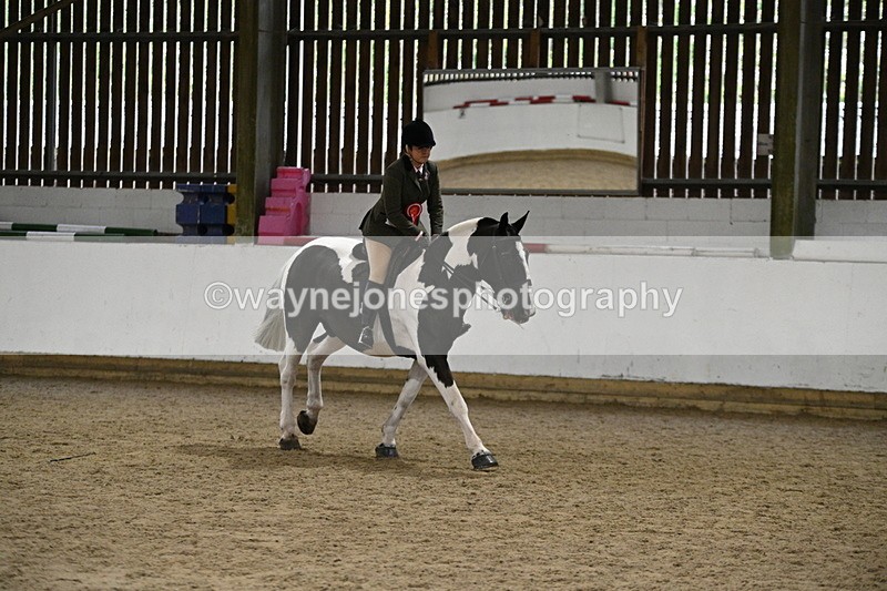 WJ7_3734 - Class 16 Ridden Coloured/ Odd Coloured