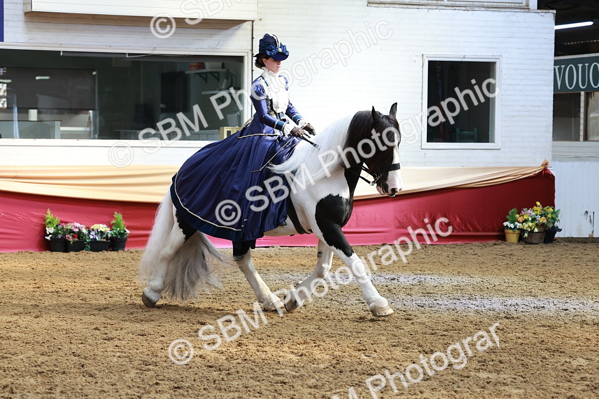 SBM_13736 - Class 106 - Ridden Costume -Astride Adult (15-19)