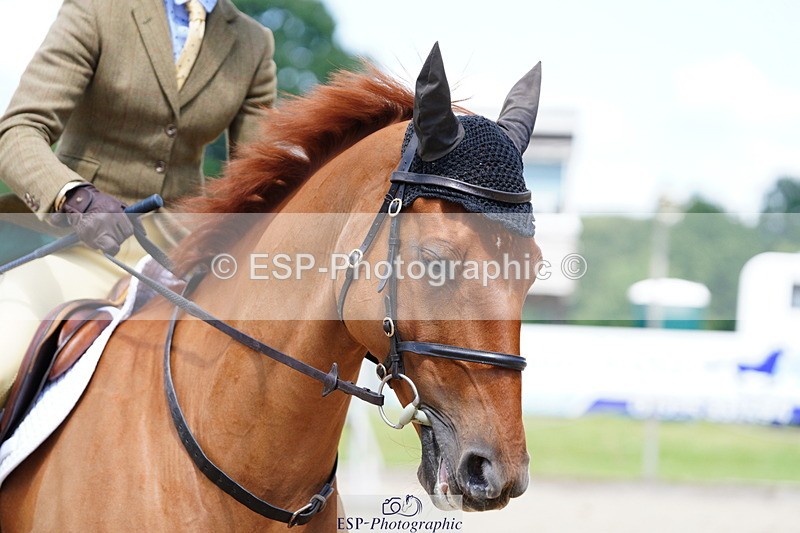 250615A-124512-10887 - Class 46 Snr 1m Open