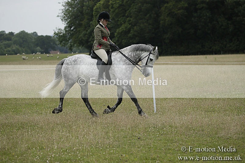 B230619-0926 - Bourne Valley Riding Club Summer Show 23/06/19