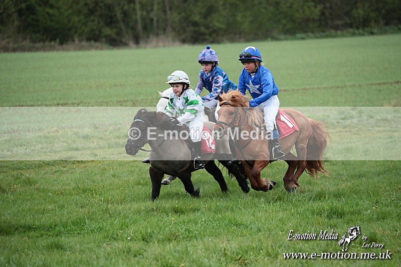 SHETPR 210425 189 - Shetland Ponies Paxford Races 21/04/25