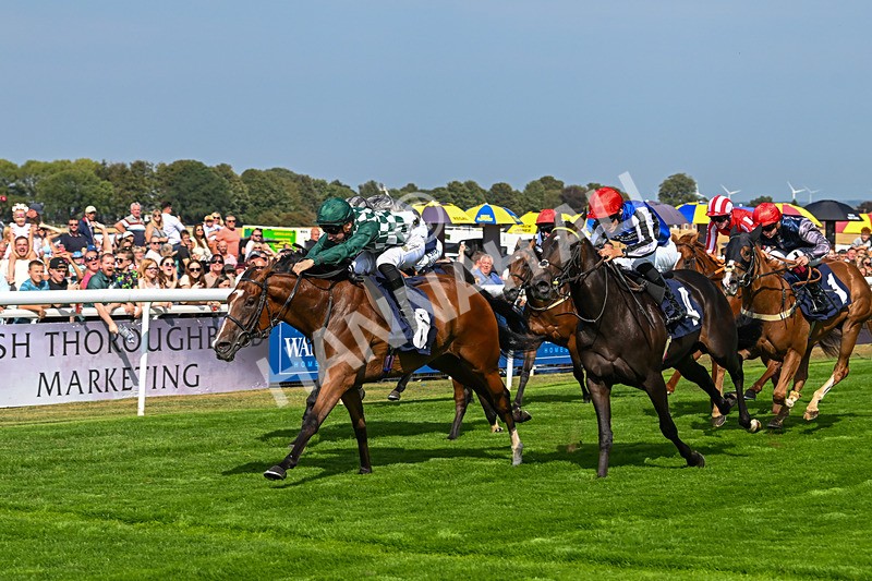 240825-Race 3-Elara May-2388 - Race 3