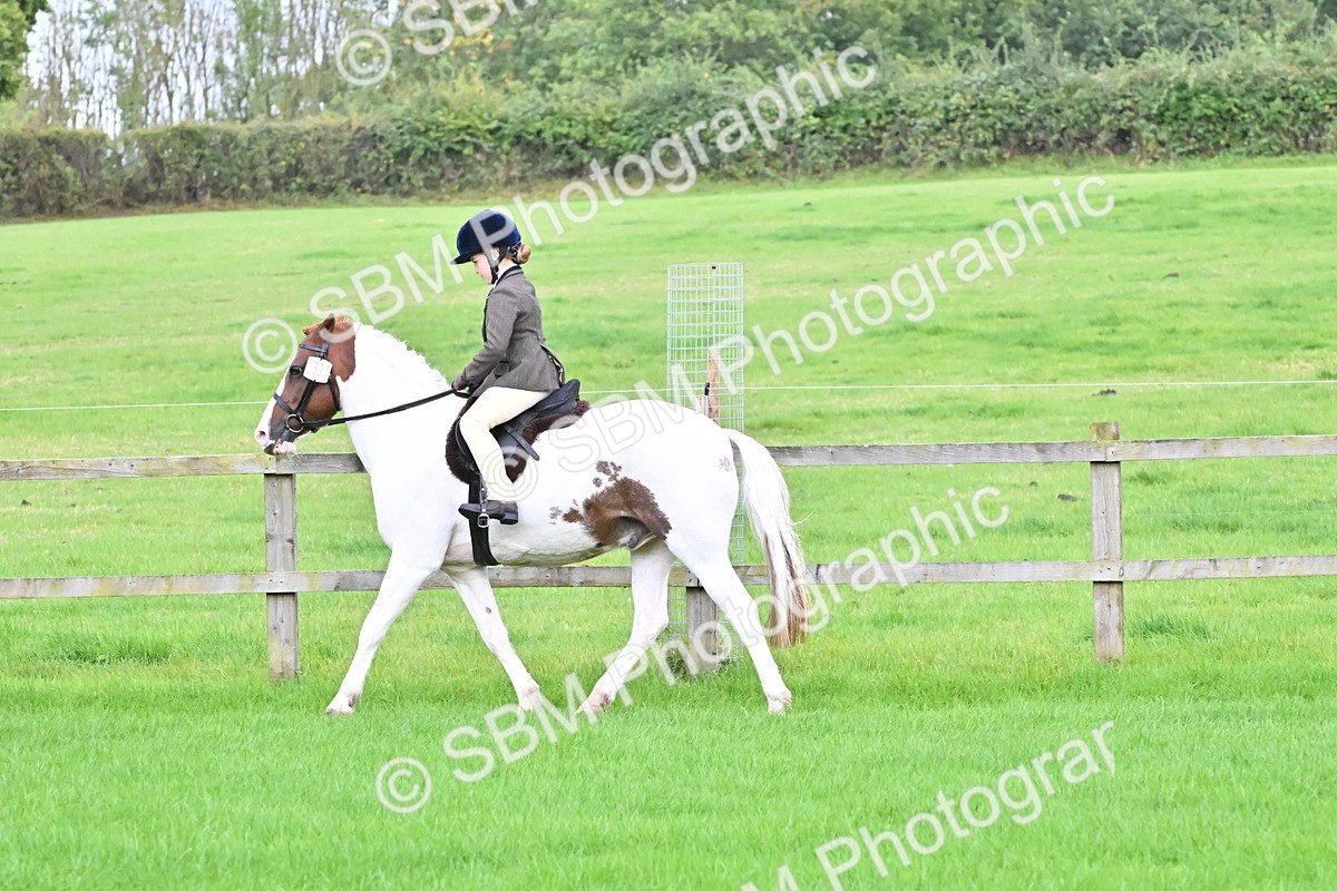 SBM_42893 - S12 - Family Horse & Pony