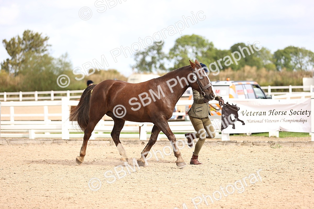 SBM_10368 - Class 405 - IH Show Cob