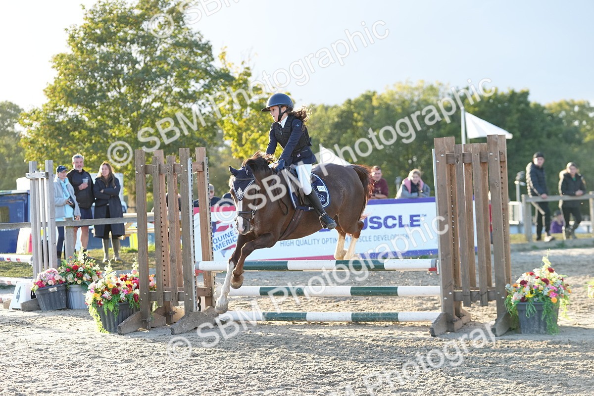 SBM_54135 - Supreme Championship 60cm 65cm