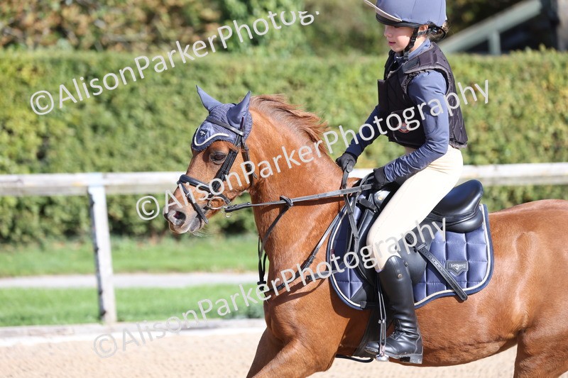 20251005-0147 - Class 2 - 50cm