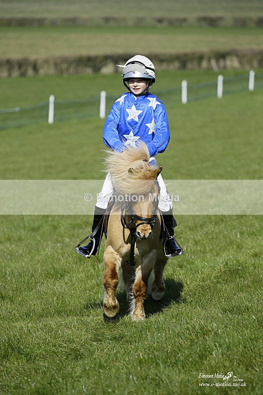 PtP 190322 60 - Wilton Hunt PtP Milborne St Andrew 19/03/22