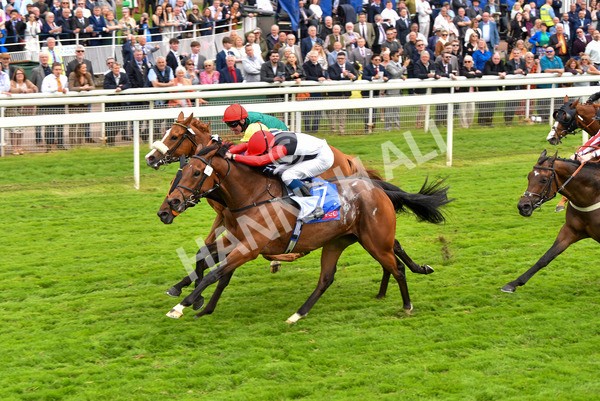 180523-Race 3-Croupier-9681 - Race 3 3.00pm Sky Bet Hambleton Handicap