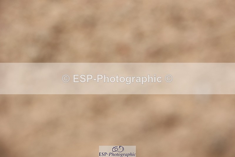 240621A-123033-00760 - Cls 12 BD Music Medium