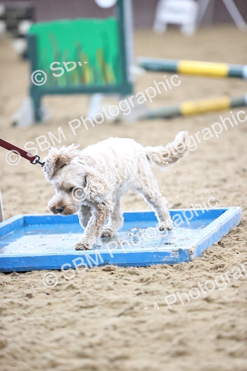 SBM_001635 - Class 3 - Horse & Hound 60cm