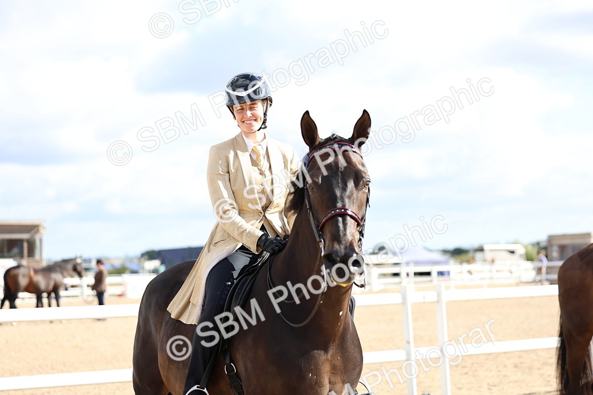 SBM_10796 - Class 305 - Ridden Foreign Breeds - Pure Bred