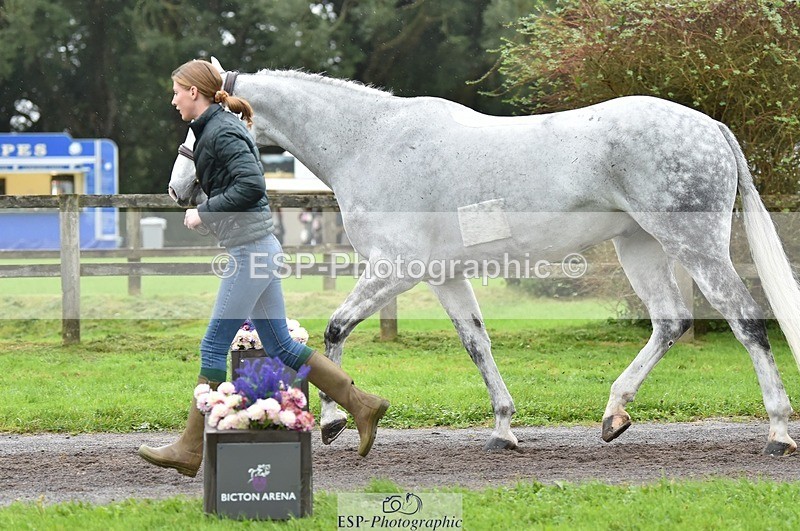 231018-124528-00498 - 061-SAYS.ALL-Maisie.Morgan-TrotUp