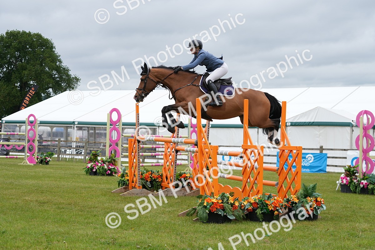 SBM_03363 - Class 201 - British Horse Feeds Speedi Beet Horse of the Year Show Grade  C