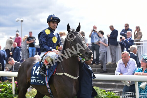 yr19082022r4-53 - Race 4 3.35pm Coolmore Wootton Bassett Nunthorpe Stakes (British Champion Series Race)