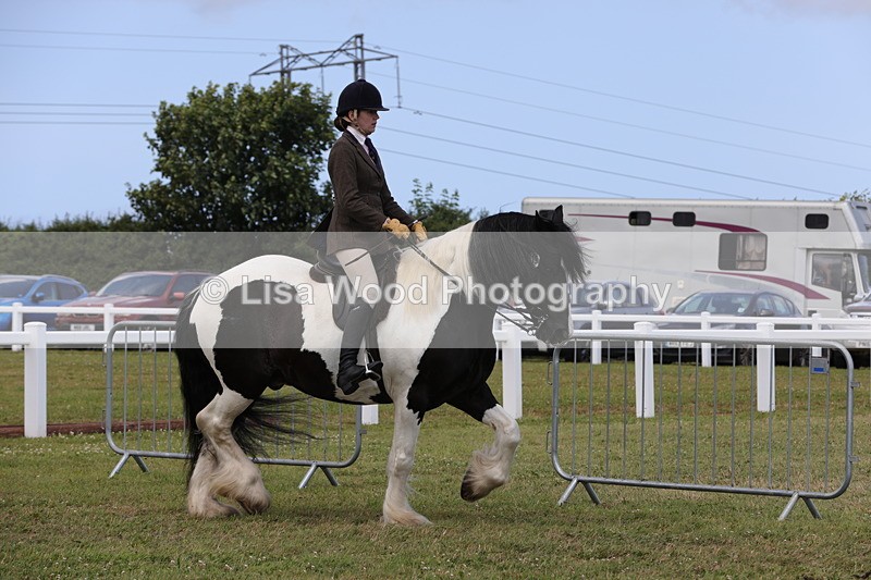 1X9A4313 - Class 34: Veteran Ridden