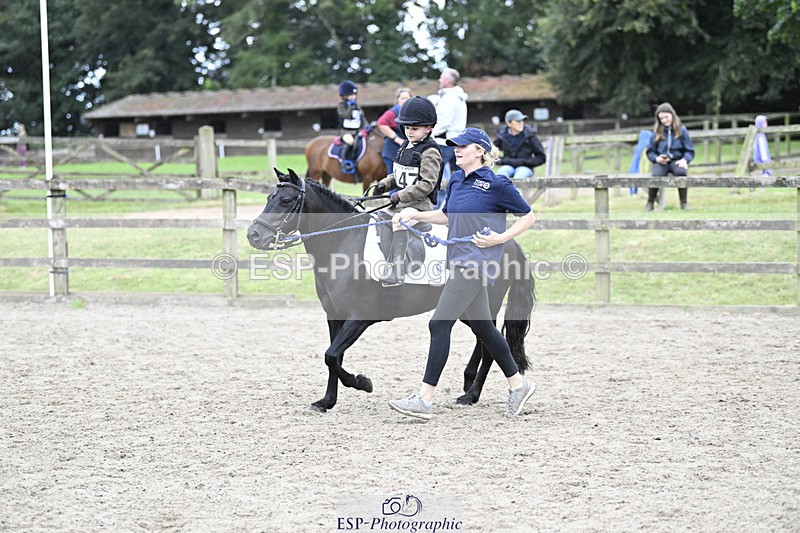 240822X-140403-08742 - 40cm LR R2 13.00 to 15.00