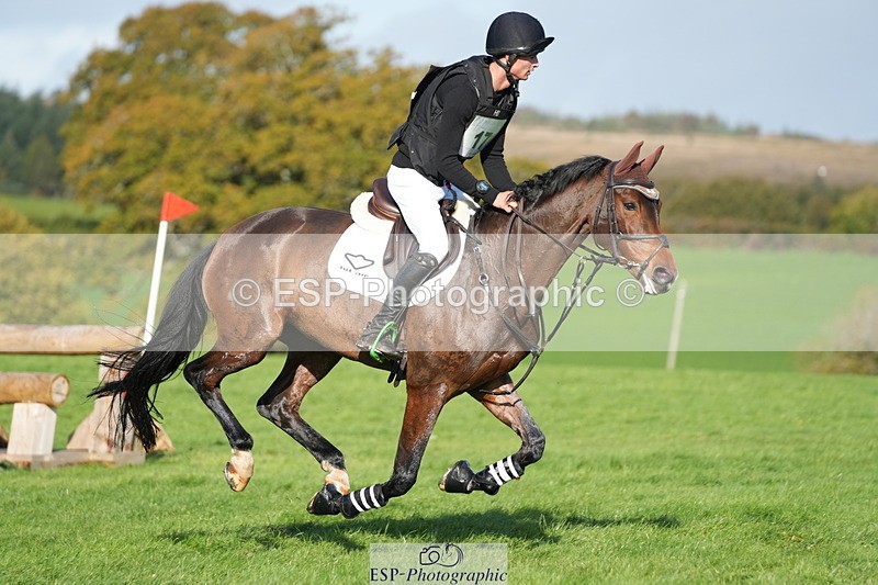 251024A-112123-07213 - A-017-Harrison.Chart