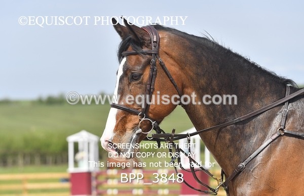 BPP_3848 - CLASS 7 Senior Foxhunter/ 1.20m Open