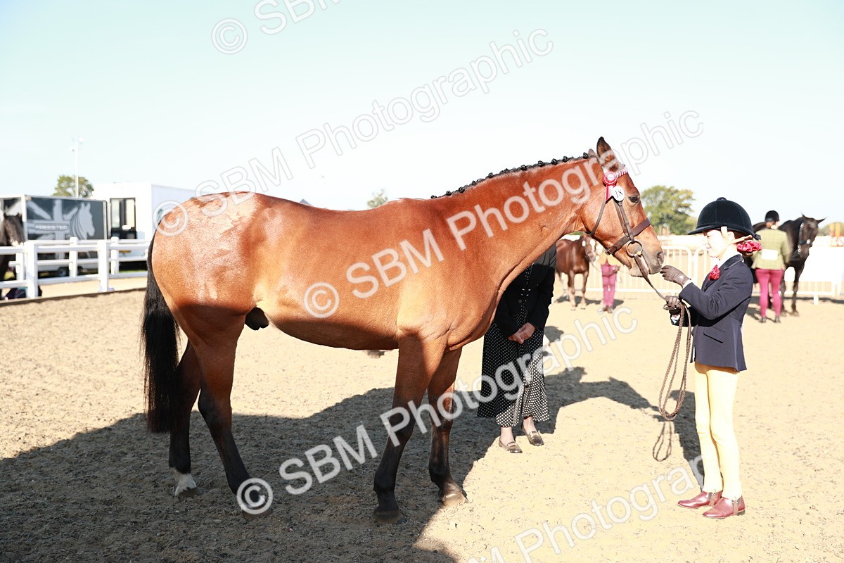 SBM_00075 - Class 40 Best Turned Out IH