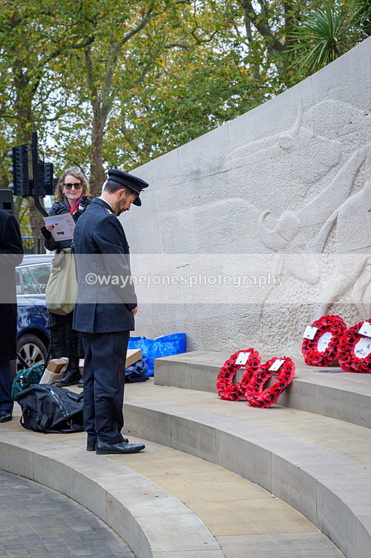 NGP_8260 - 2024 Animals in War Remembrance Gathering