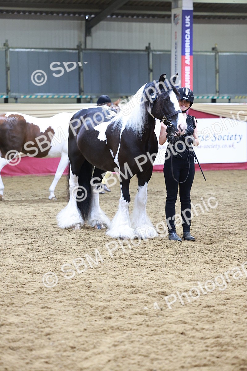 SBM_20128 - Class C - Novalty Champ